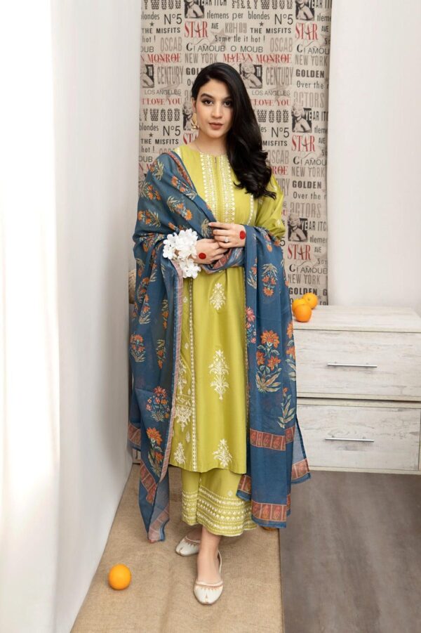 3 Pcs women's unstitched embroidered suit