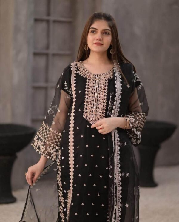 3 Pcs women's stitched organza embroidered suit - Image 2