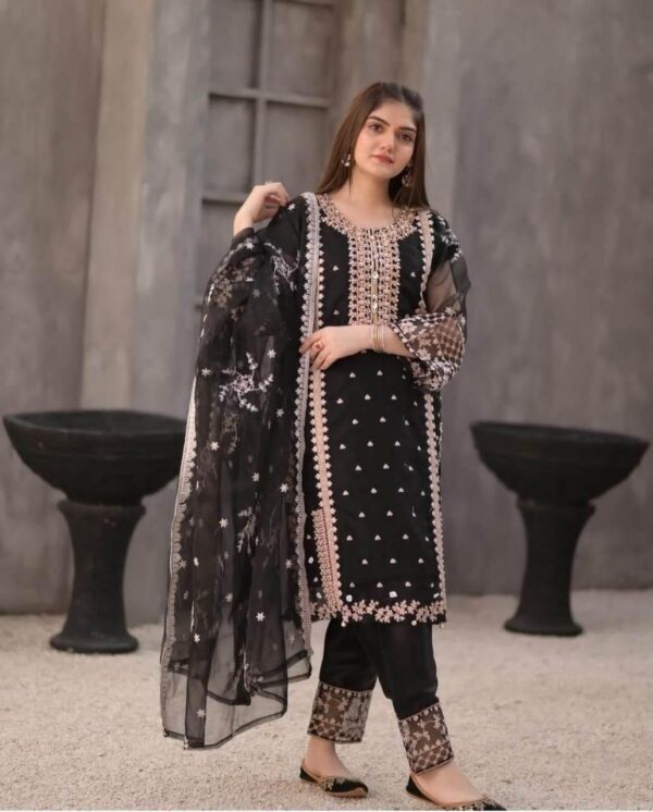 3 Pcs women's stitched organza embroidered suit