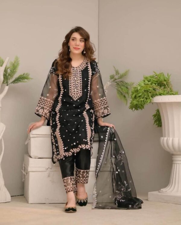 3 Pcs women's stitched organza embroidered suit - Image 3