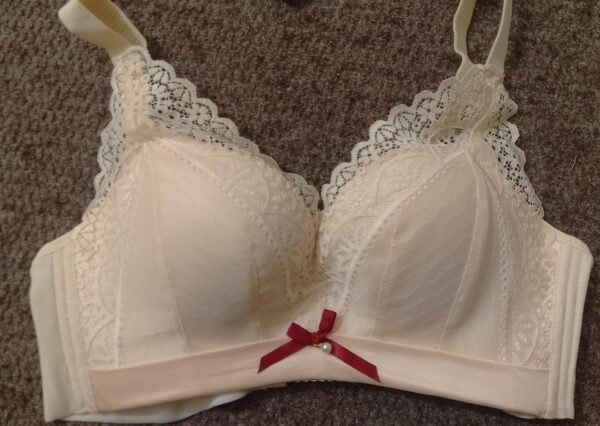 Elegant lace work padded bra in peige - Image 2